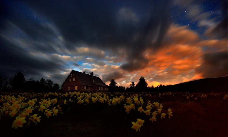 Horečka páteční noci