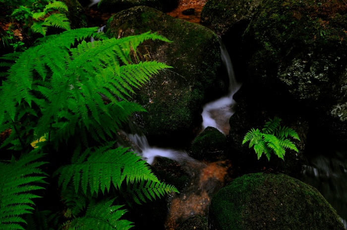 Pod Mariánskou horou