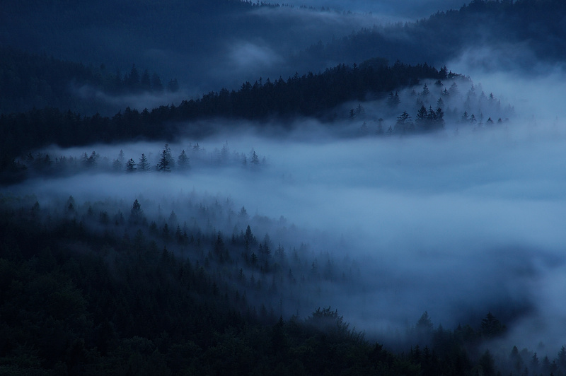 Noční mlha u Křinice