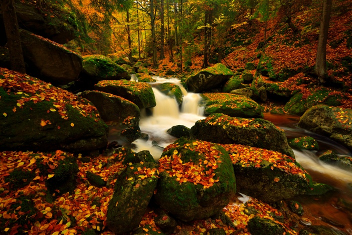 Když týden pršelo