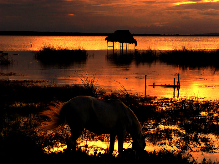 Večer u jezera Petén Itzá