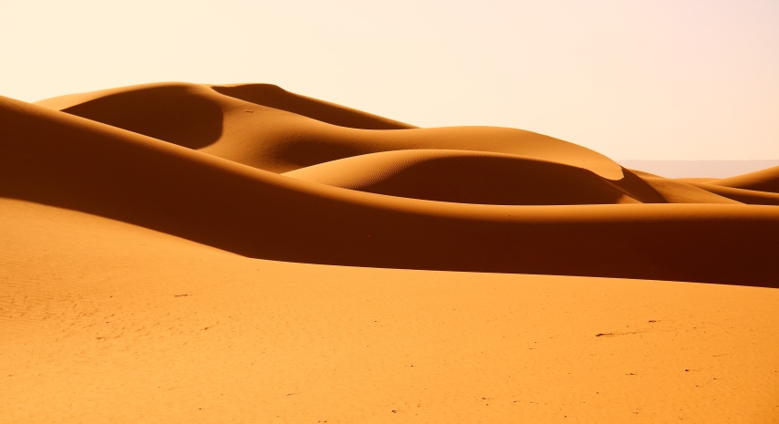Křivky pouště