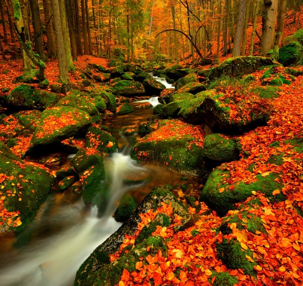 Díky za další říjen