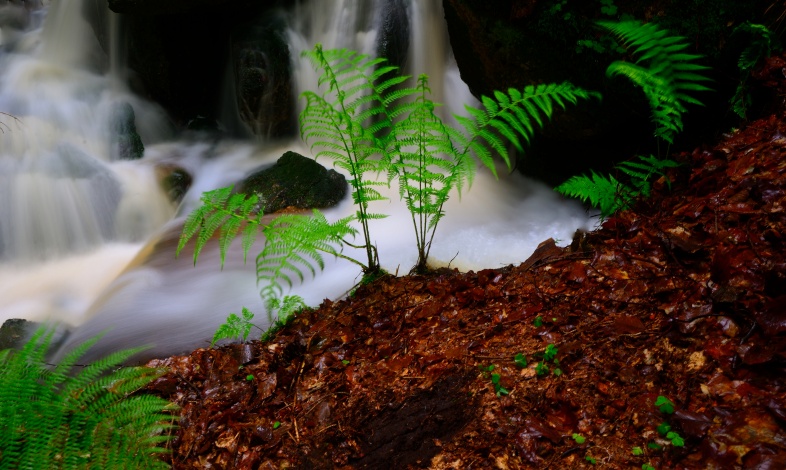 Na úbočí Hüttenbergu