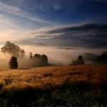 Jitro v zemi Kinských