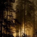 Muráňská planina po noční bouřce