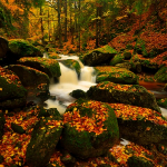 Když týden pršelo