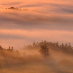 Na Všemilské planině