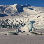 Islandská fauna