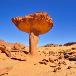Houbaři z Ennedi