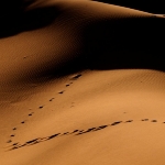 Po stopách malého prince