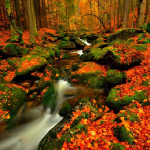 Díky za další říjen