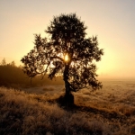 První podzimní mrazíky